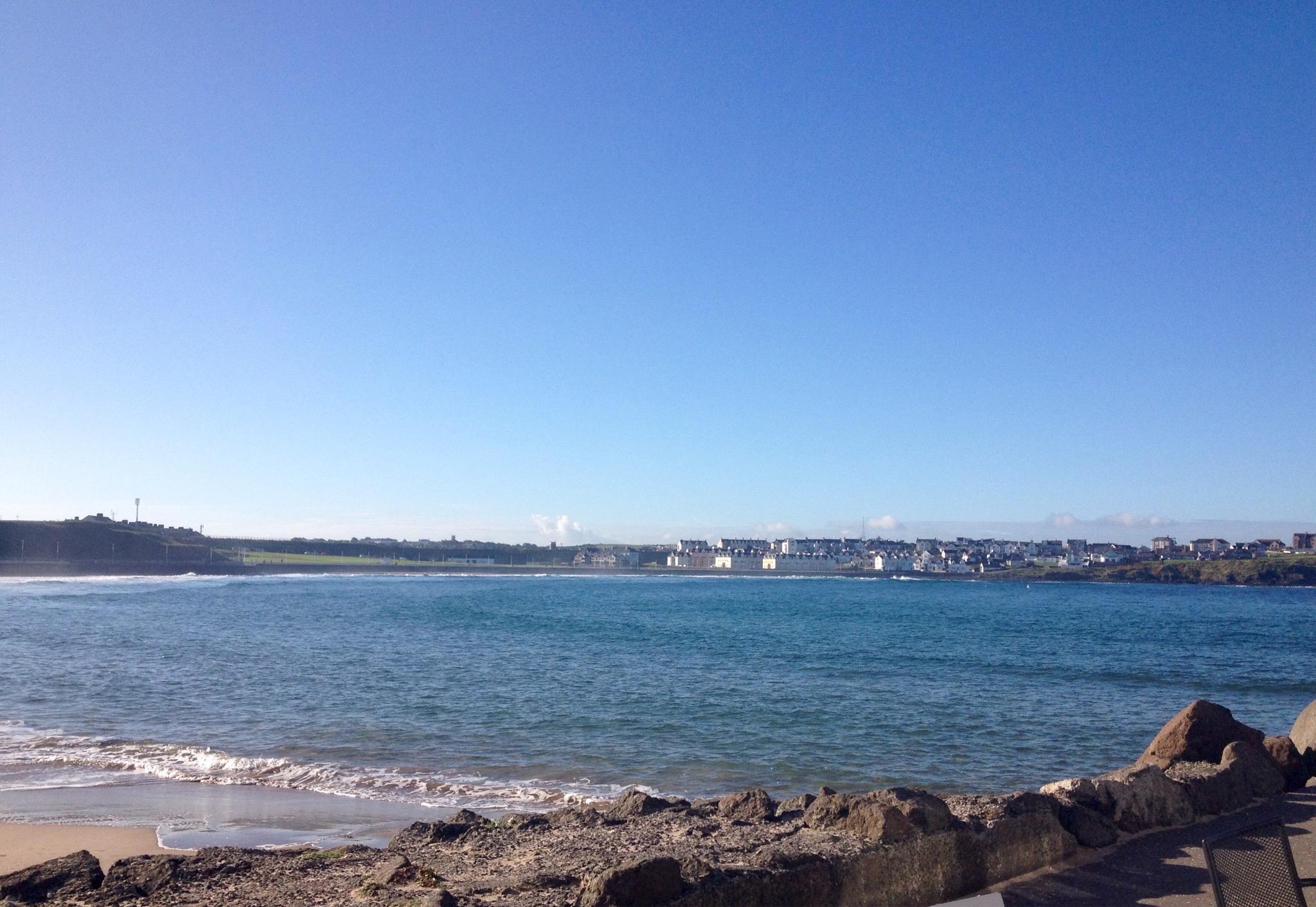 Babushka Kitchen Cafe