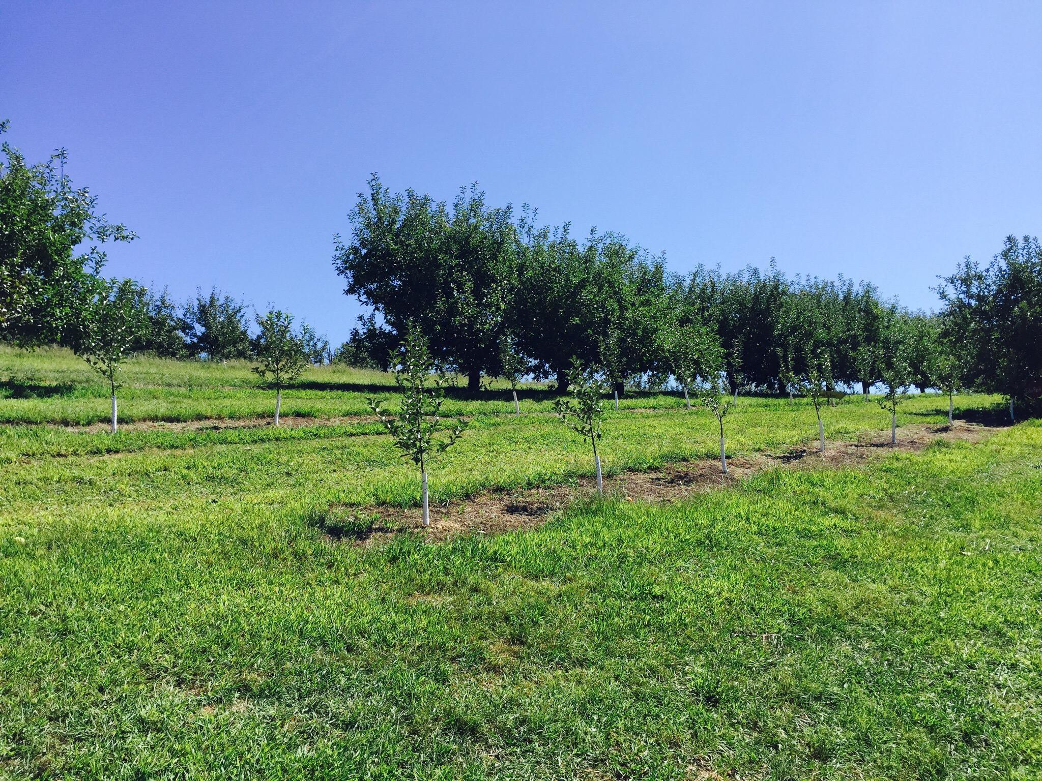 Photo by Catherine S