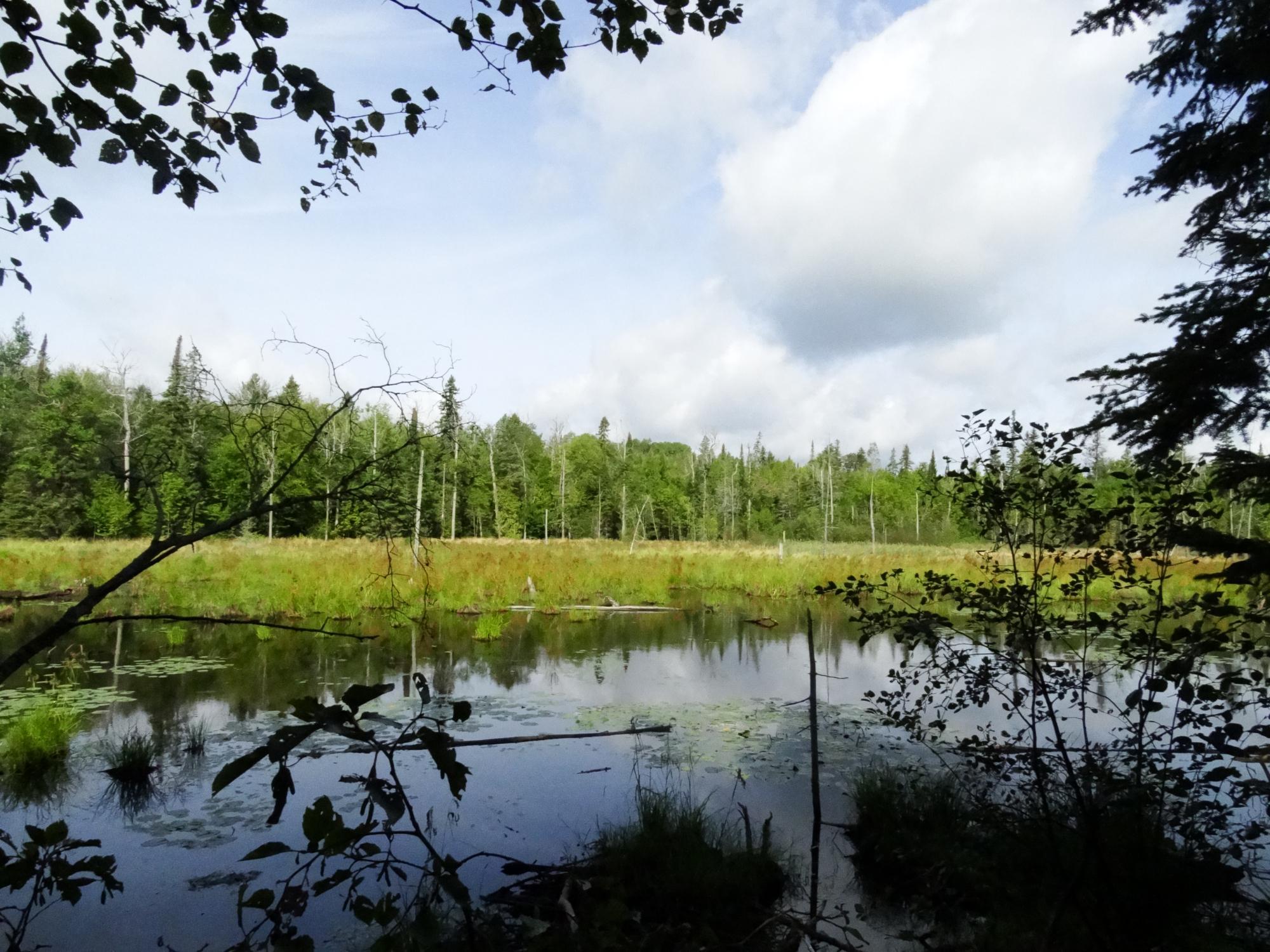 Mikisew Provincial Park