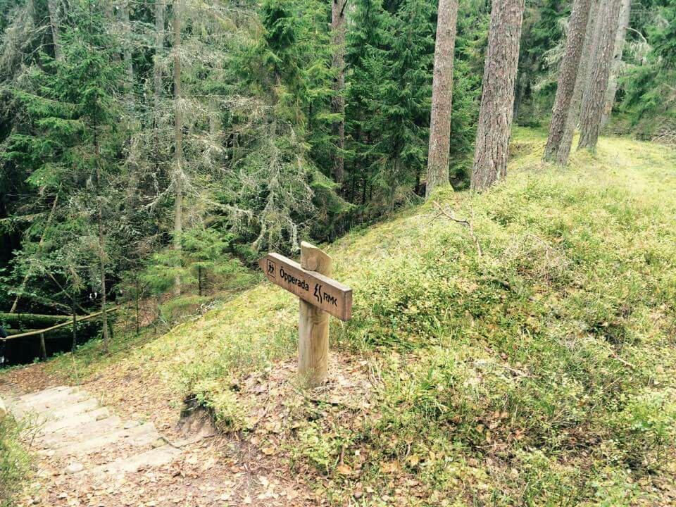 Vanajoe Valley Trail