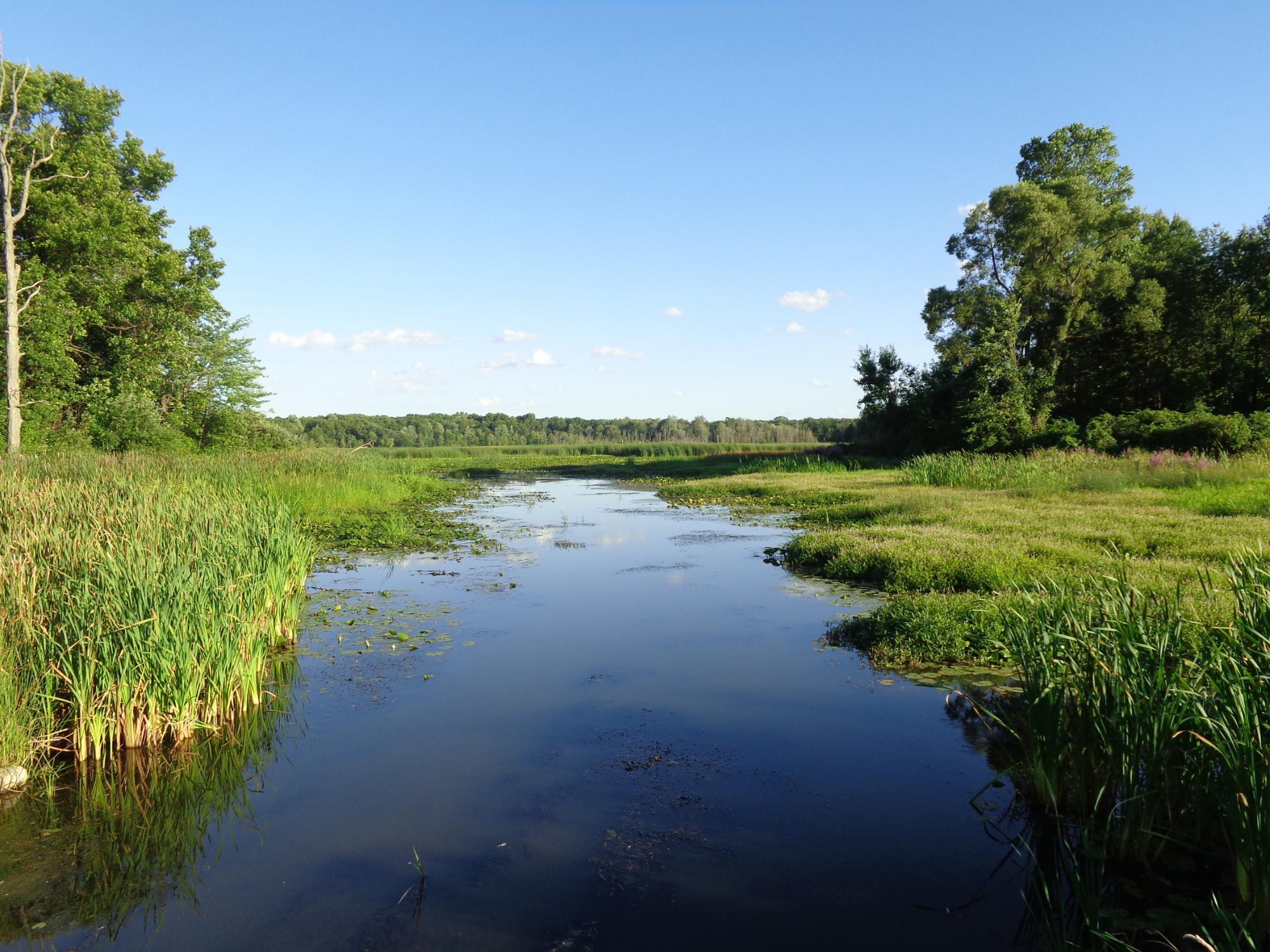 Waterloo-Pinckney Hiking Trail