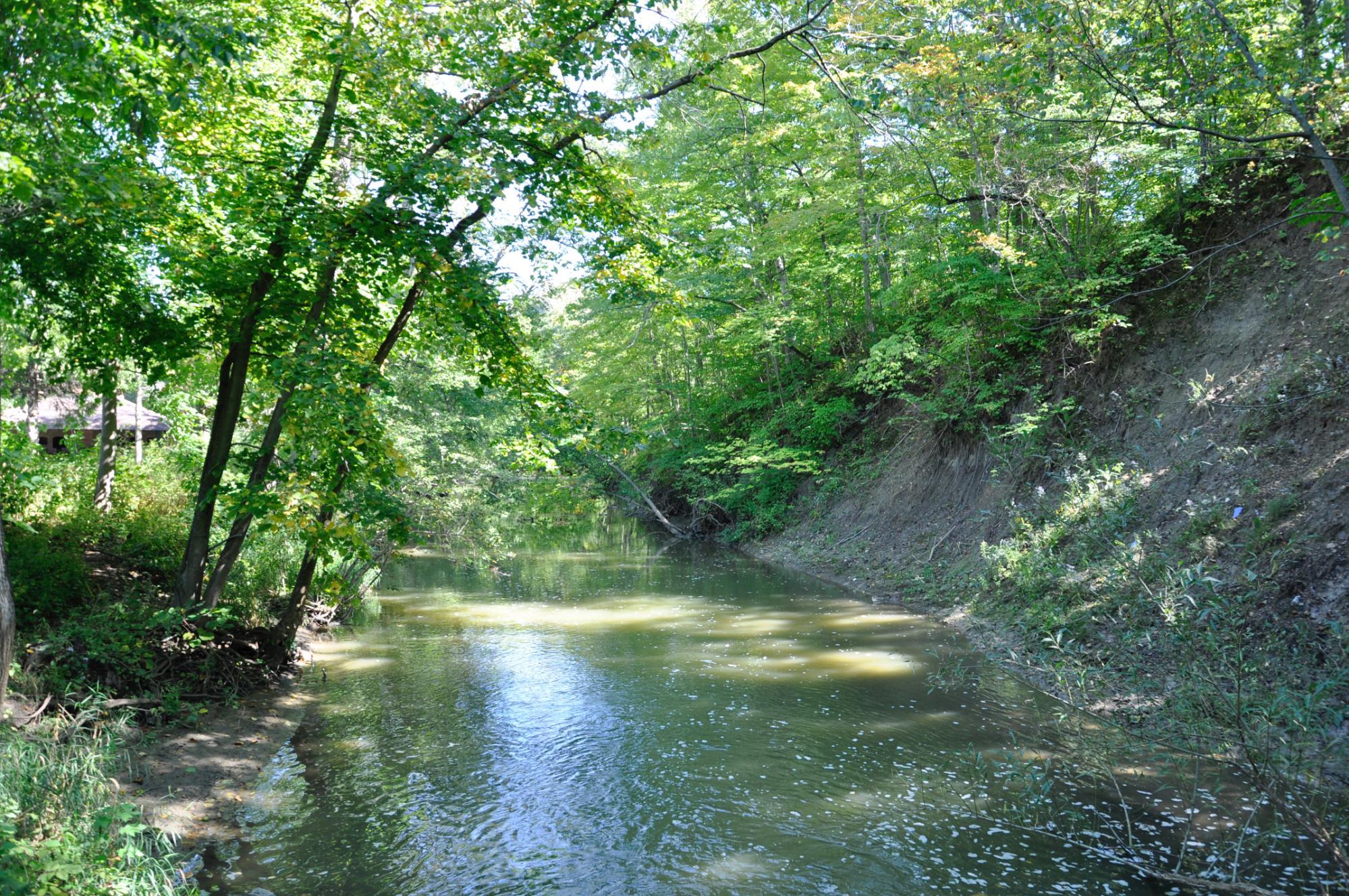 Petrifying Springs Park