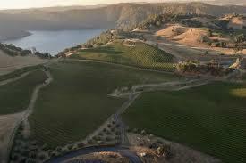 Aloria Vineyards