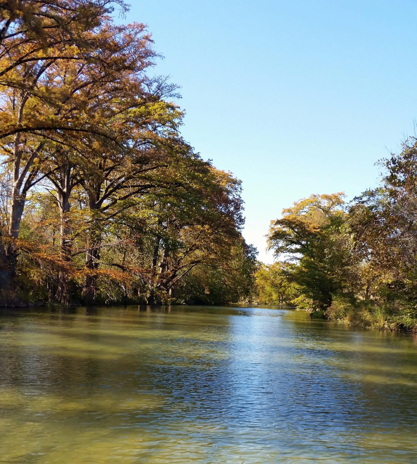 Photo by Mesquite1225