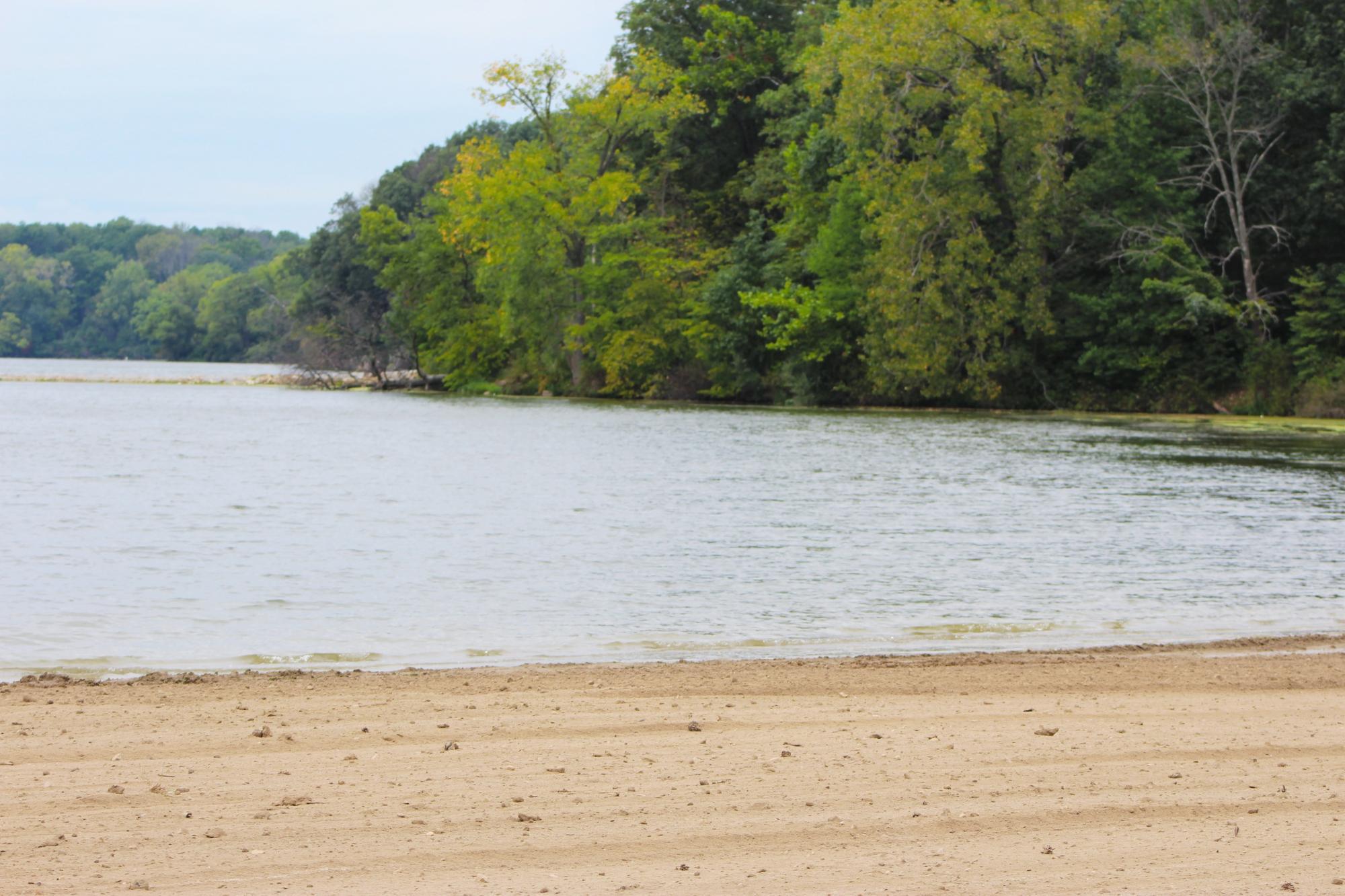 Photo by shelled2014