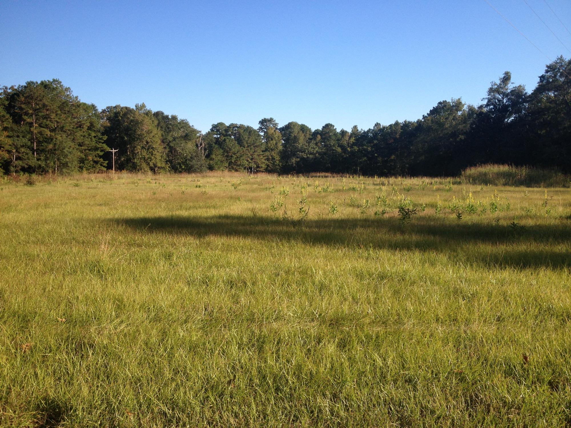 Elinor Klapp-Phipps Park