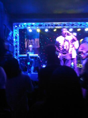 Wild Hare and Singing Armadillo Frog Sanctuary