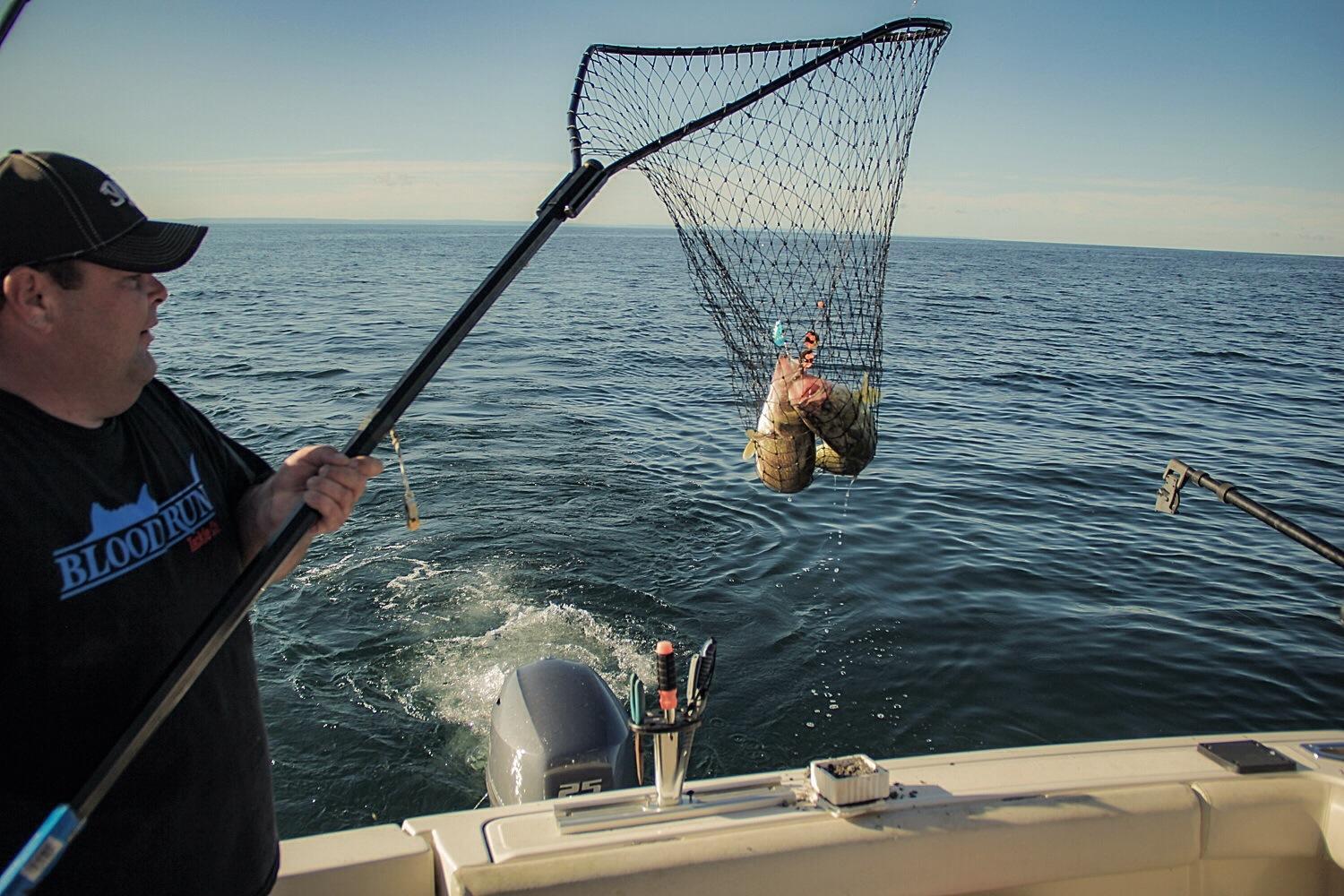 Hall' Em In Sportfishing