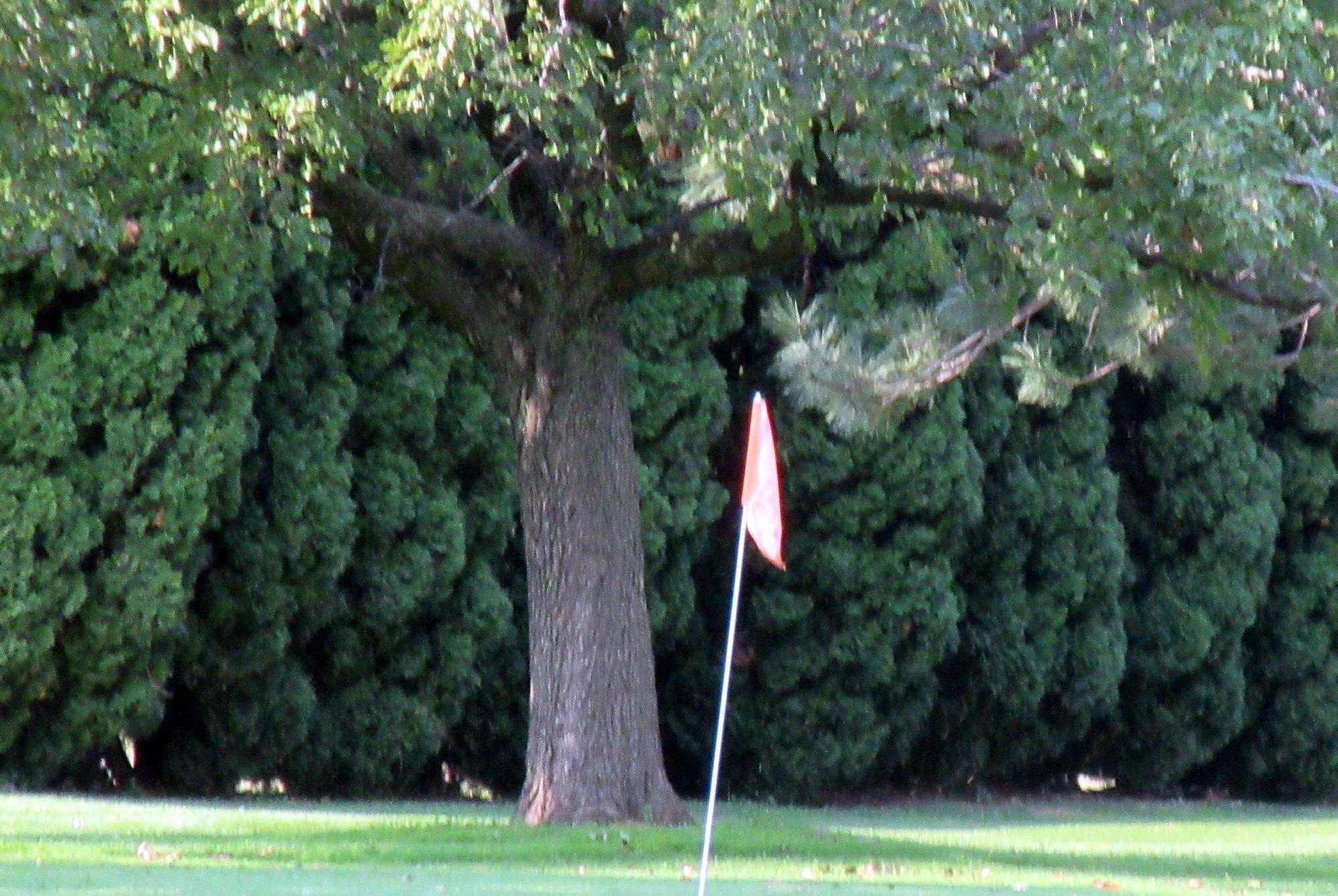 Columbia Point Golf Course