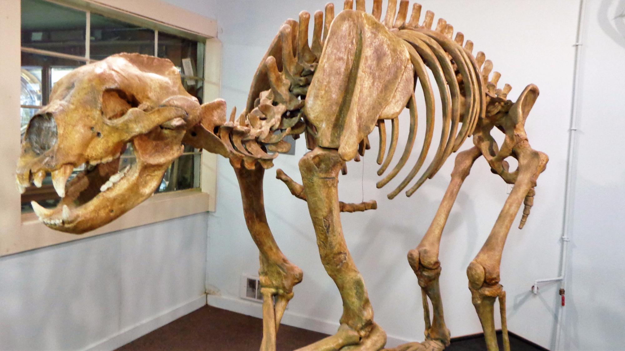 White Pine Public Museum