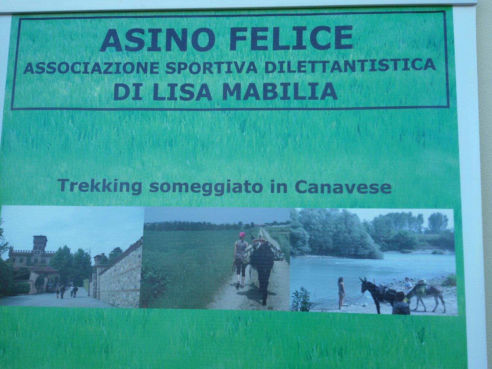 SIFE Asino Felice ASD APS