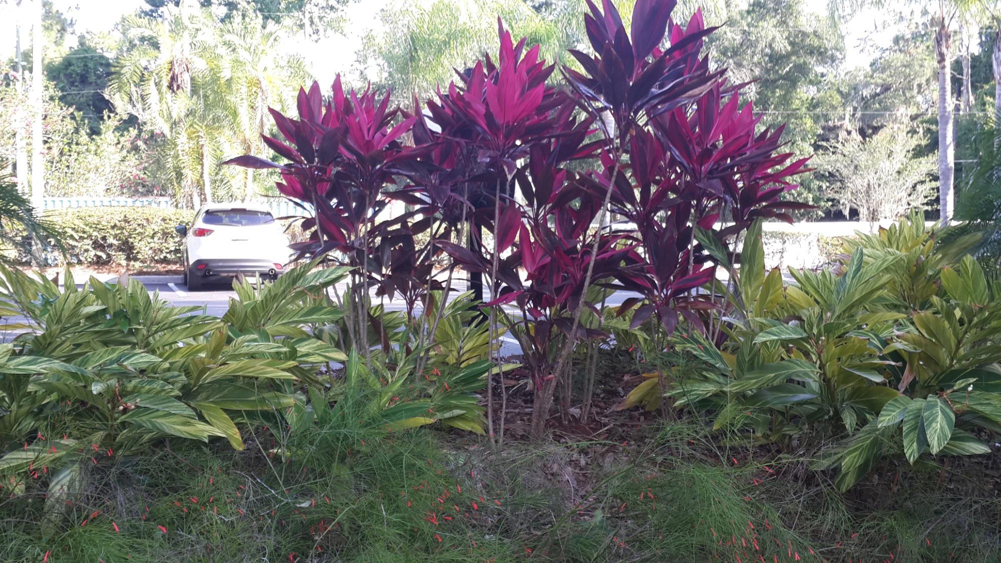 Fork & Screen at AMC Theaters