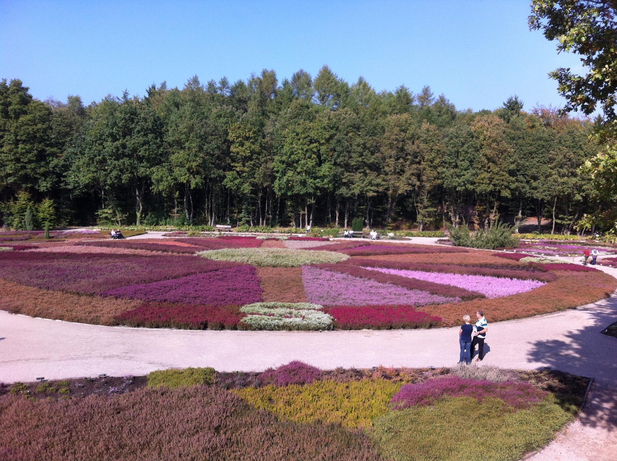 Heidegarten im Höepen