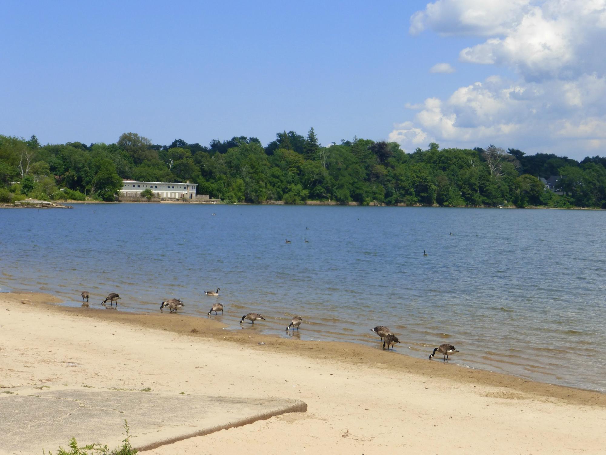 Lake Ronkonkoma County Park