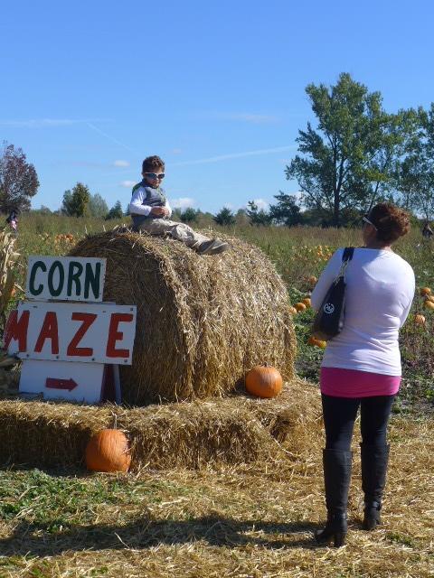 Reesor Farm Market