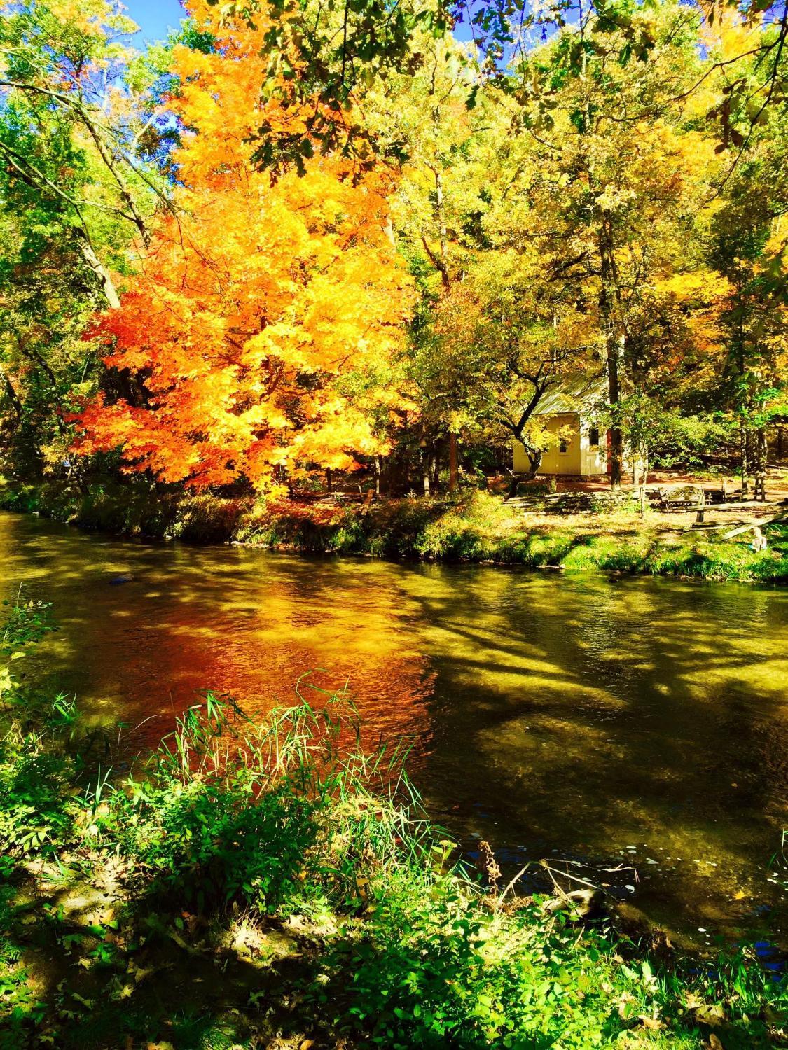 Red Mill LLC