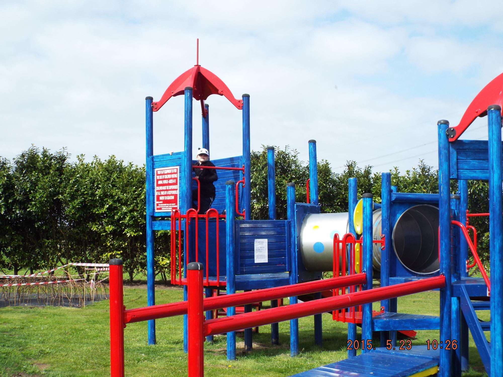 Sammy Seeds Fun Zone