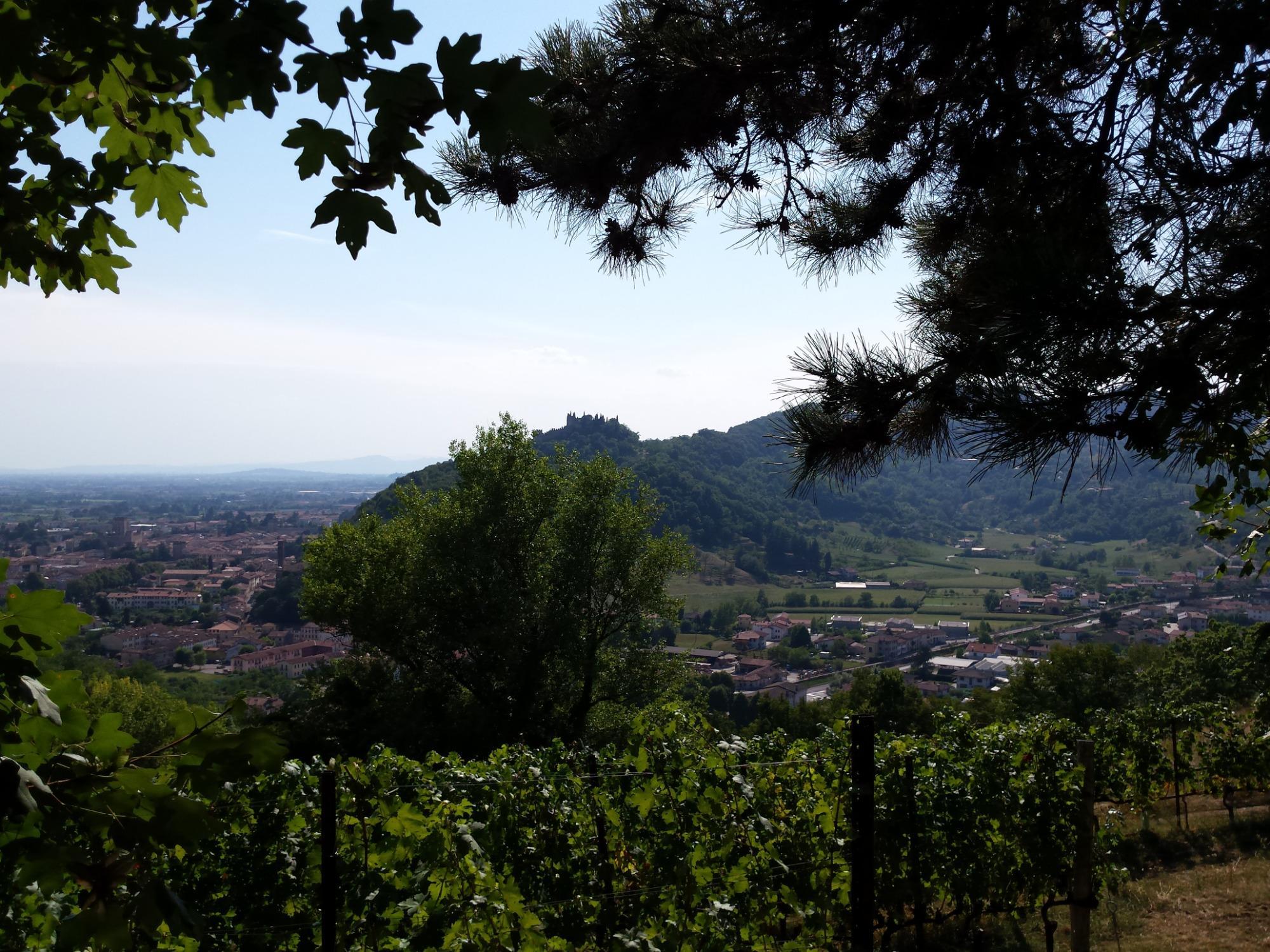 Passeggiata nelle colline di San Benedetto