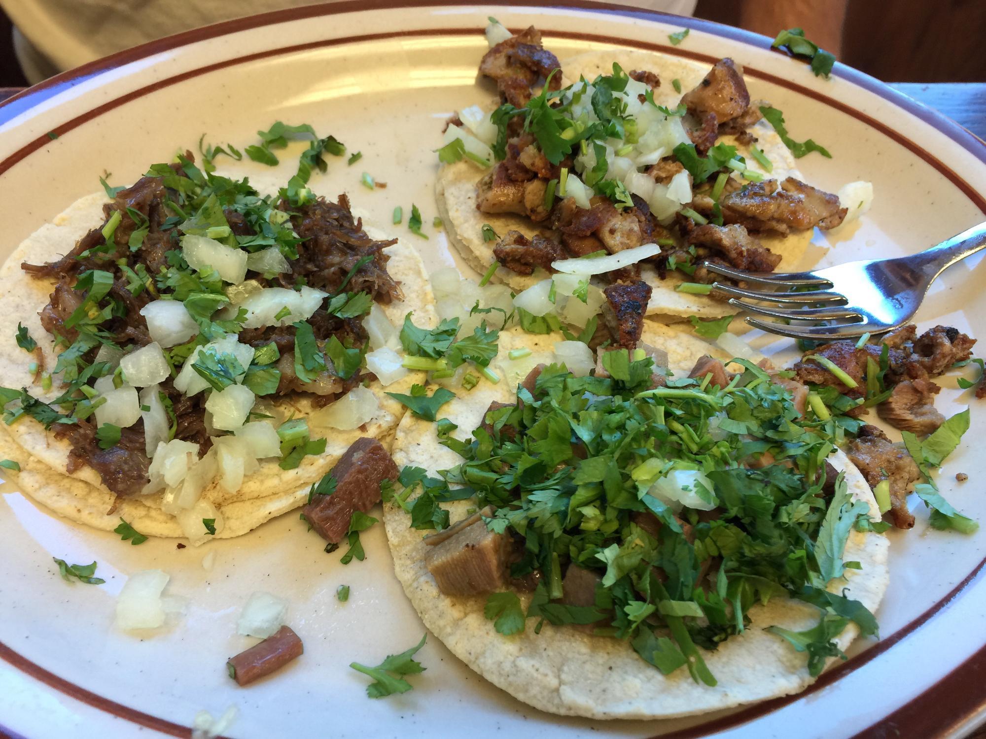 Photo by ShellOnWheelsnet