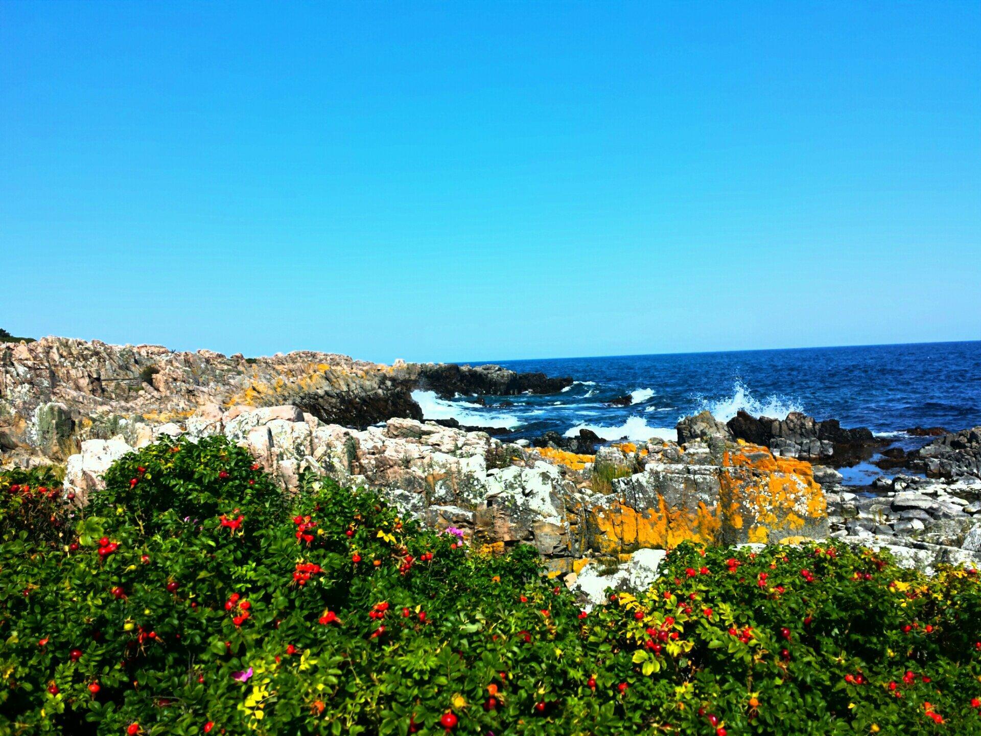 Sannes Familiecamping