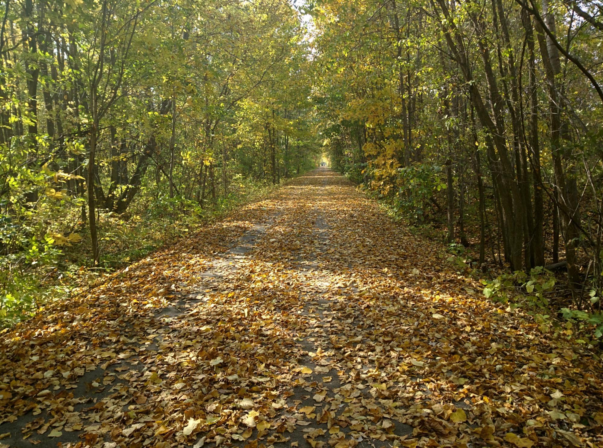 Macomb Orchard Trail