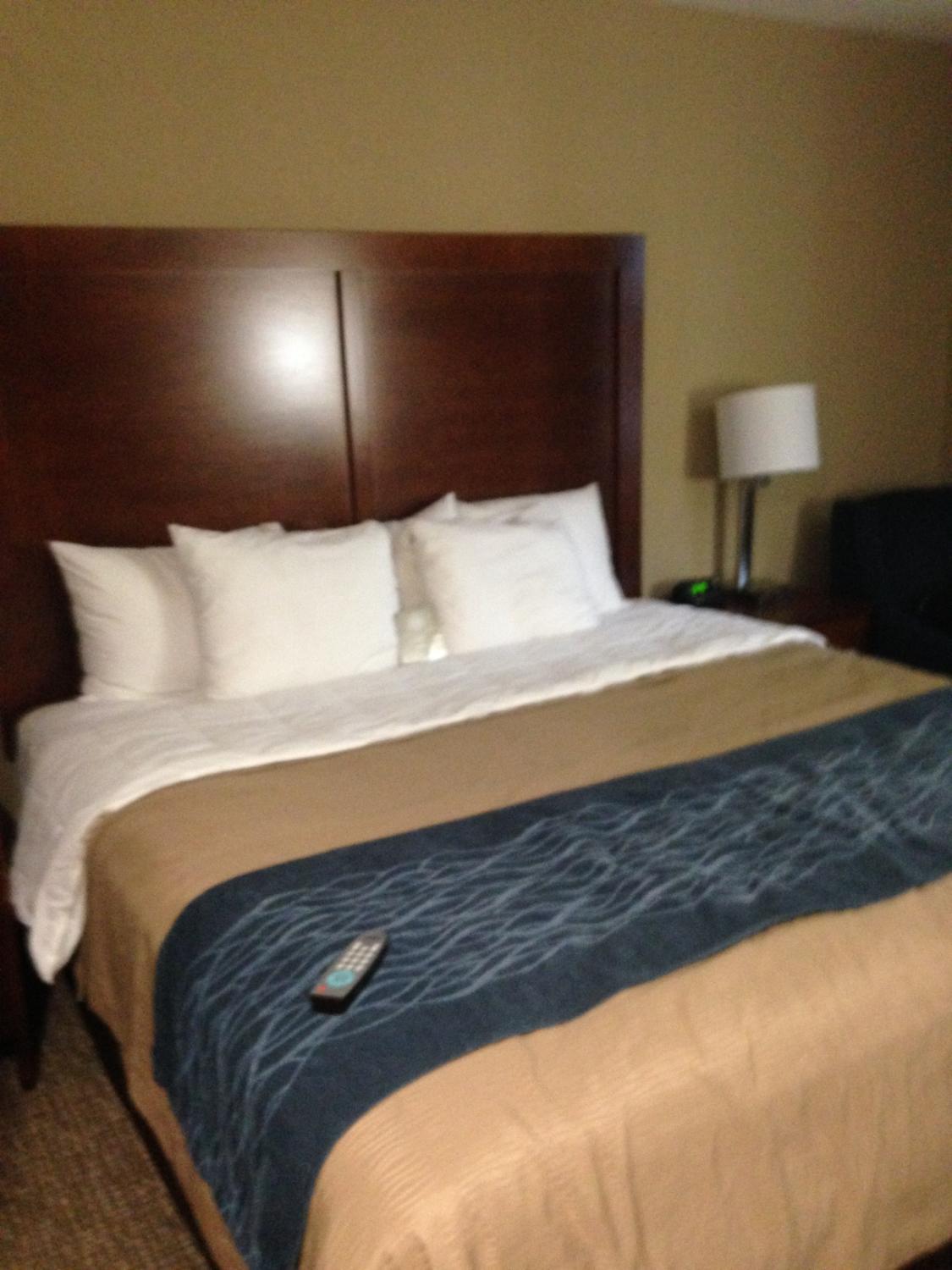 Photo by Miche11e777