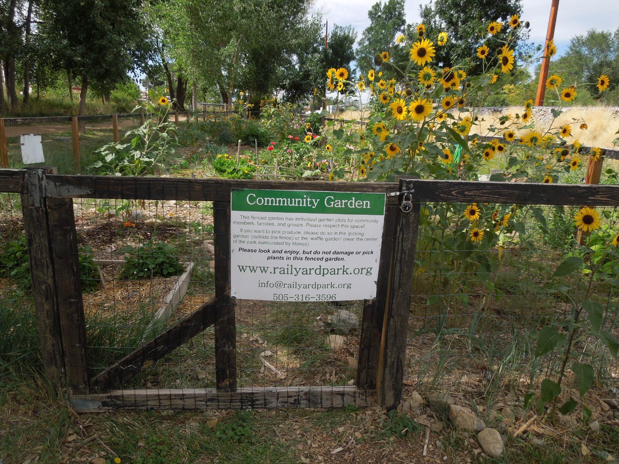 Photo by on_the_go_98765