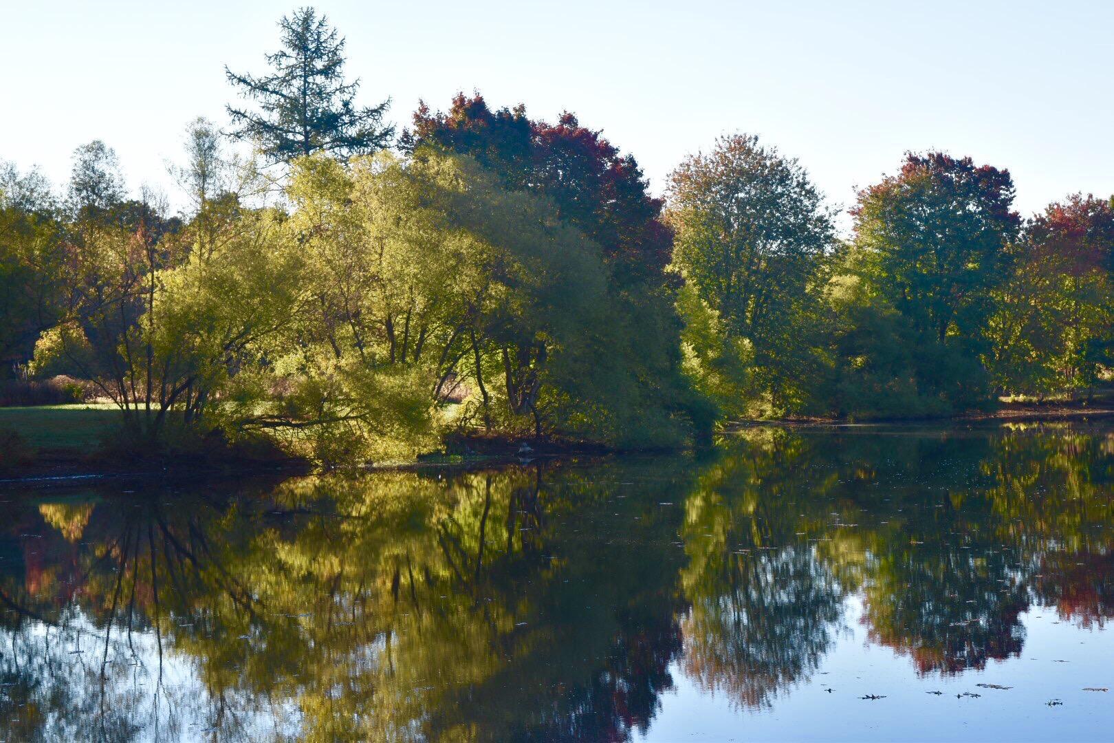 Turkey Swamp Park