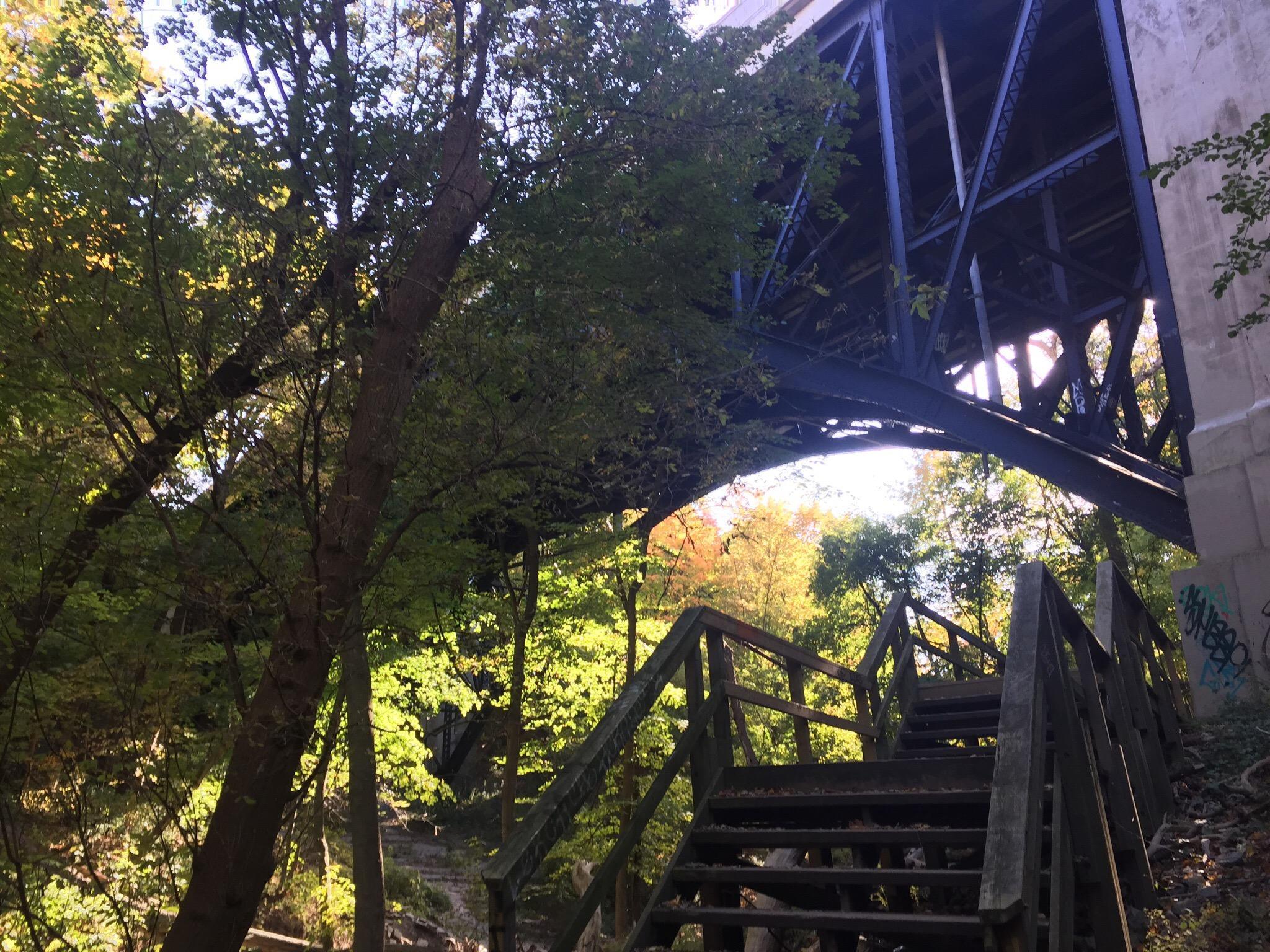 David A. Balfour Park