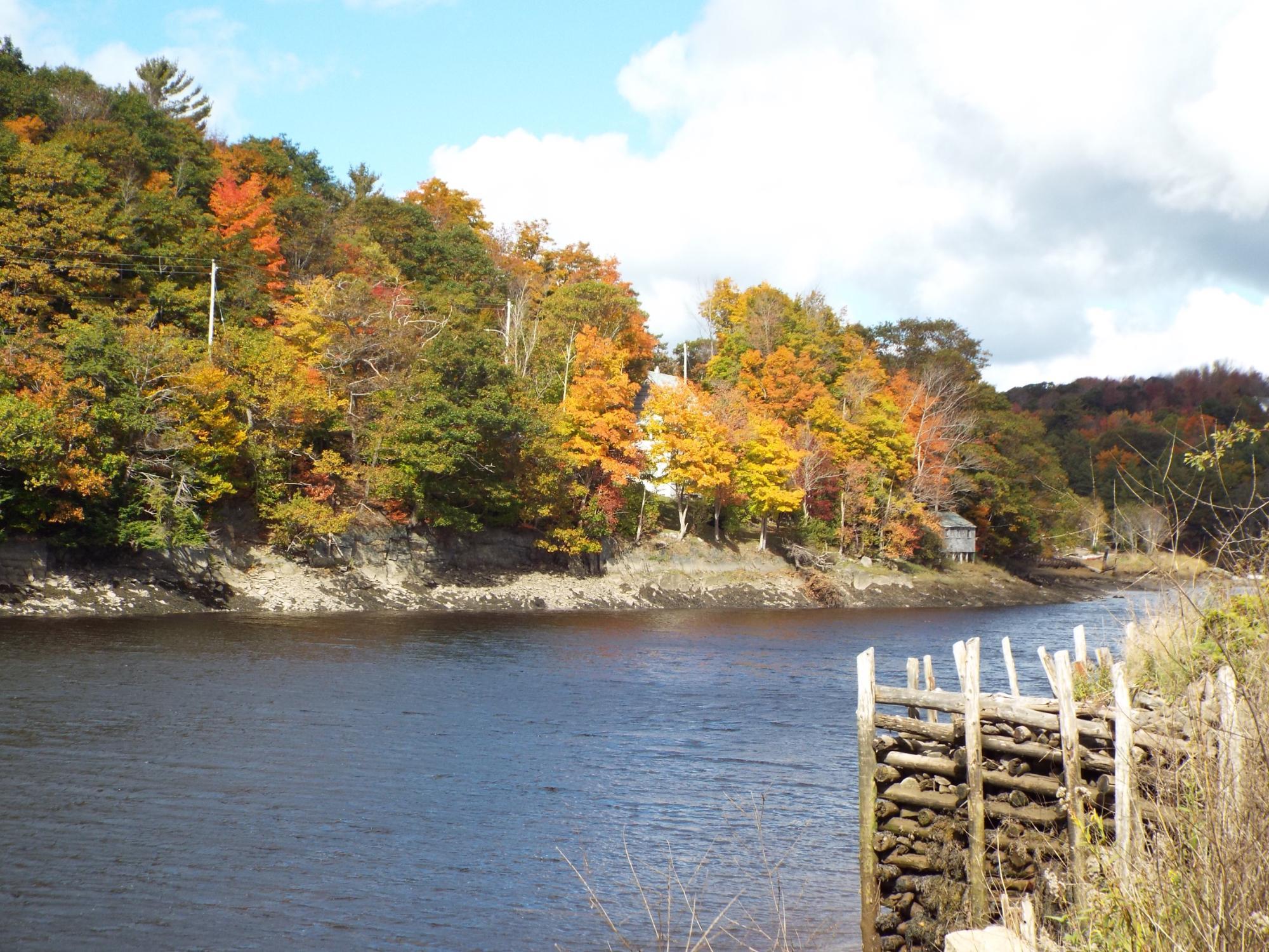 Myrtle and Rosie's Cafe