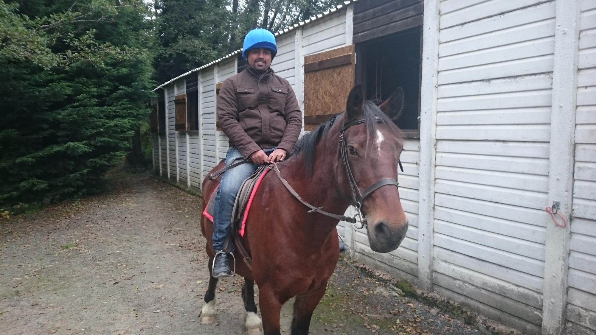 Rheidol Riding Centre