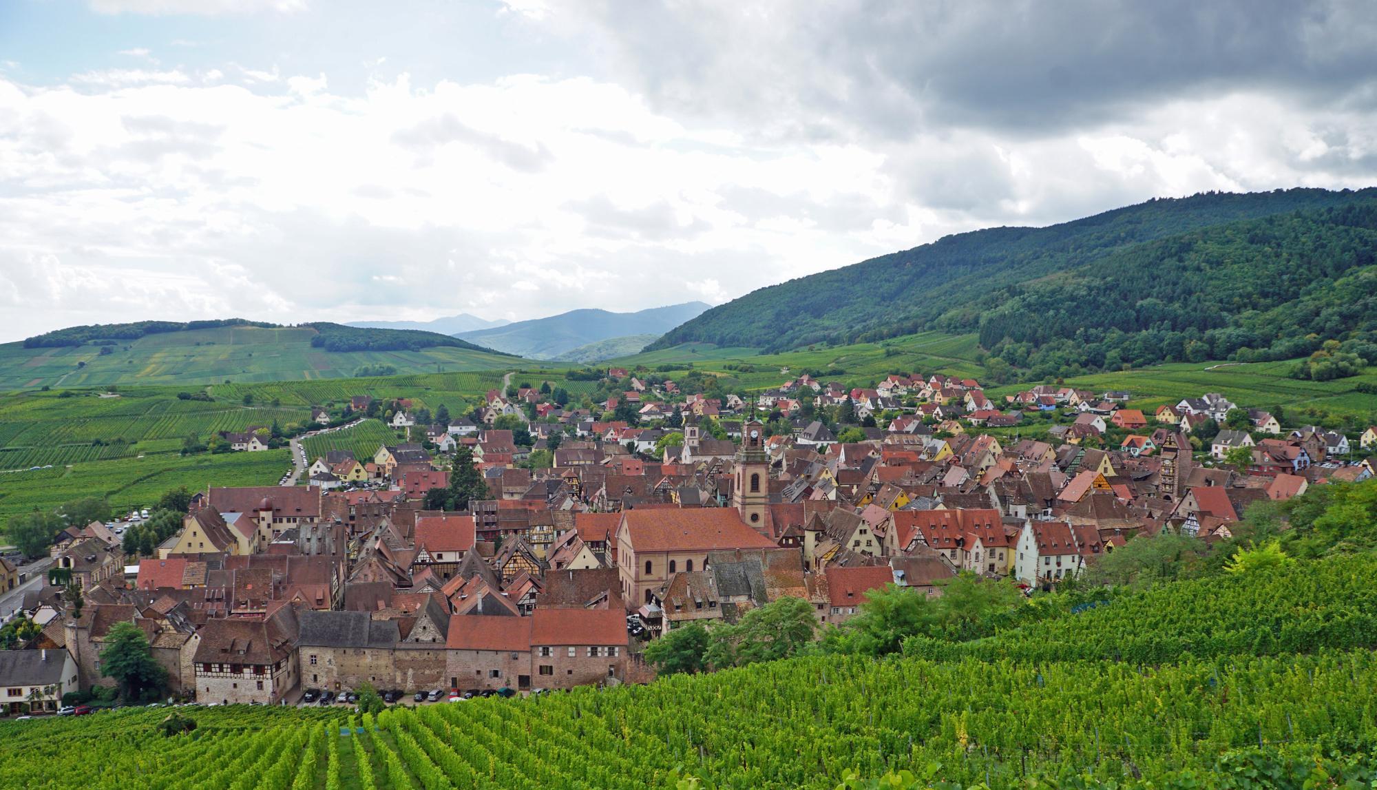 Sentier Viticole des Grands Crus