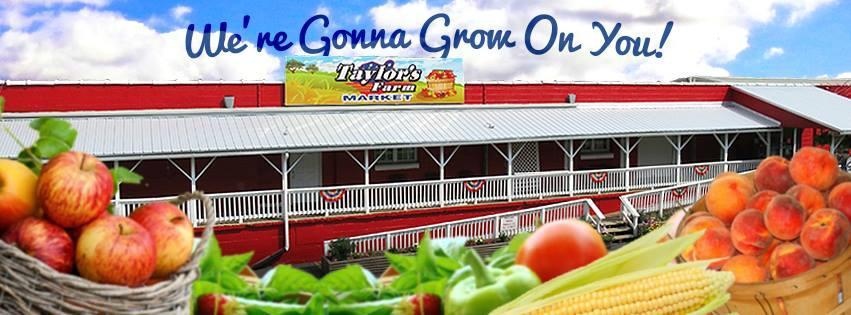 Taylor's Farm Market