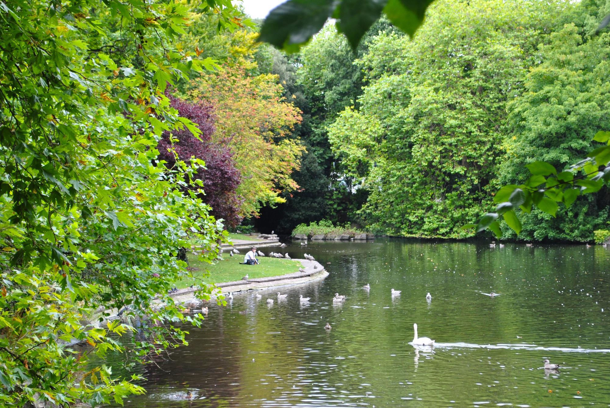St Stephens Green