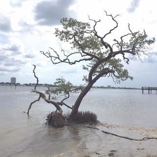 Photo by travelers966