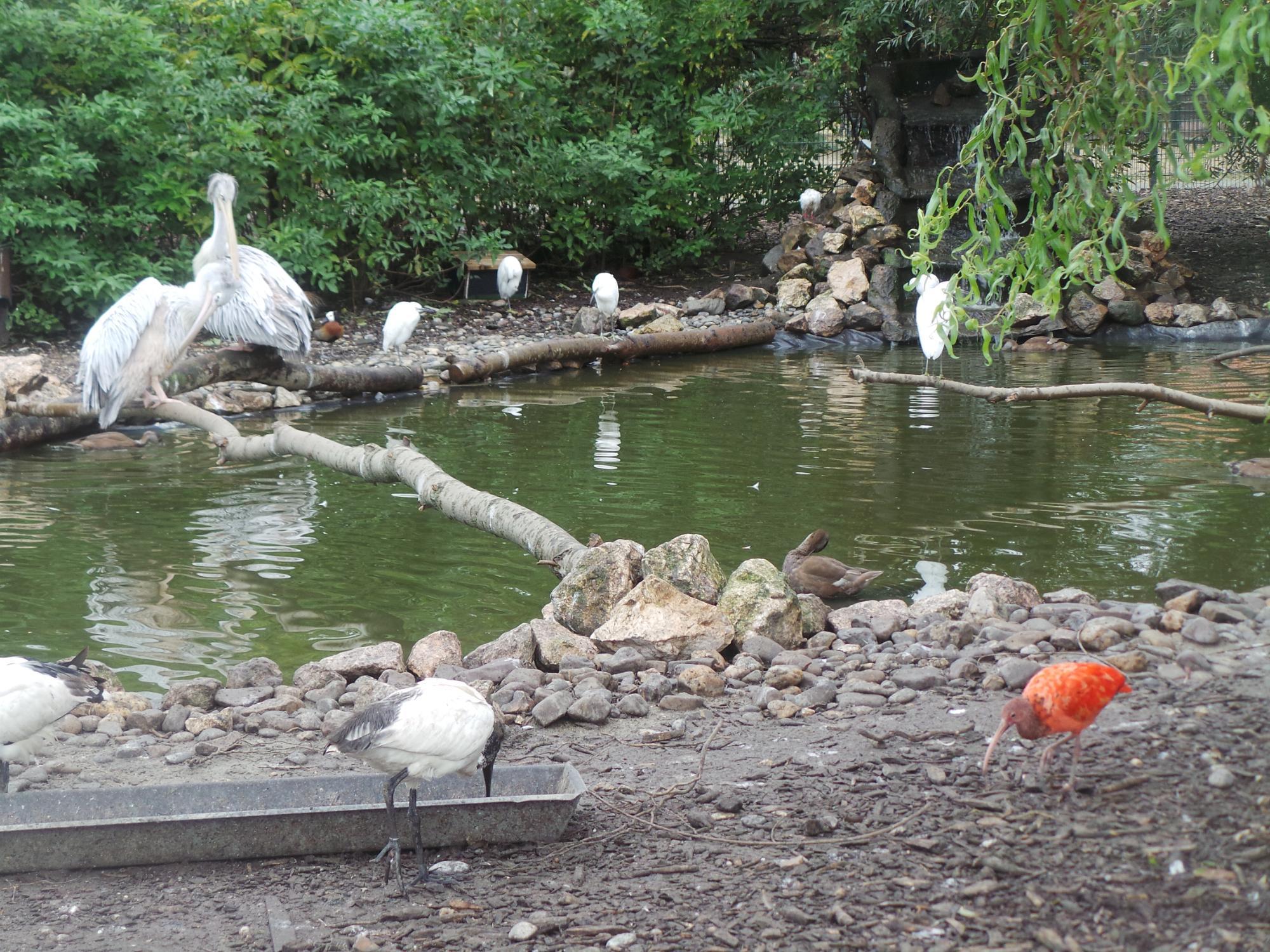 Van Blanckendaell Park