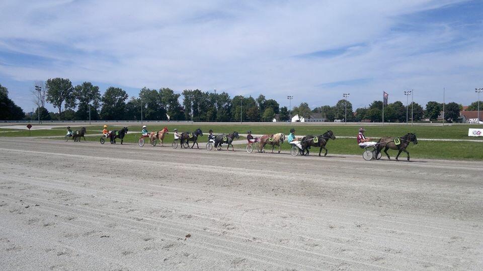 Trabrennbahn Pfarrkirchen