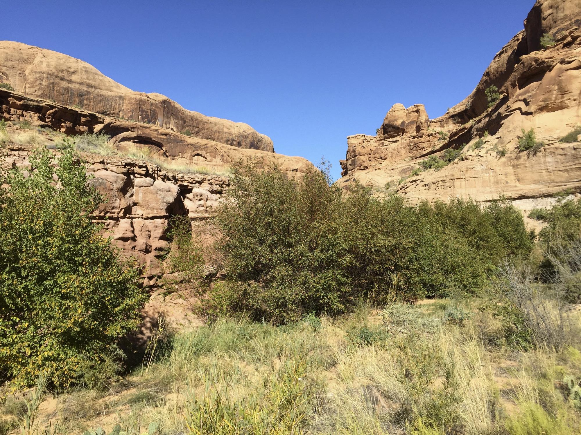 Grandstaff Canyon Trail