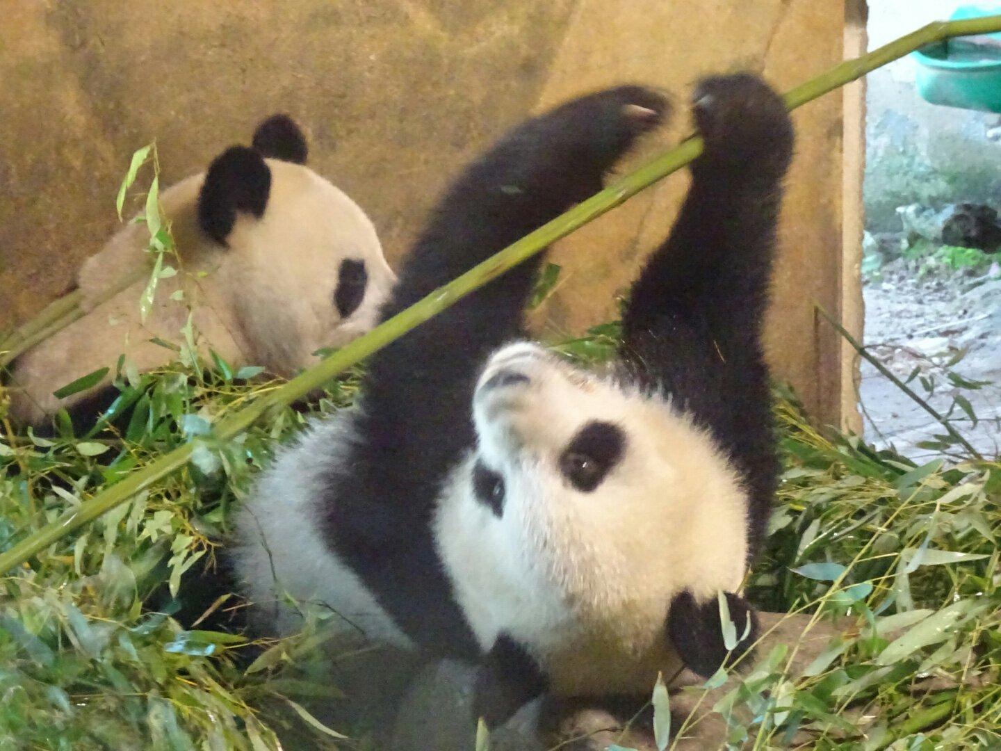 Zoo Aquarium de Madrid