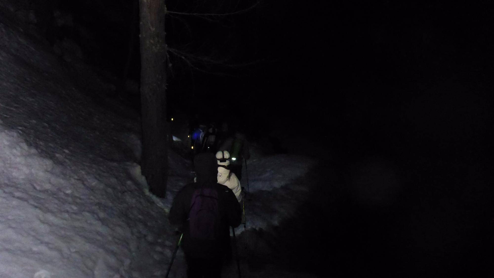 WalkinPiedmont - Day Tours