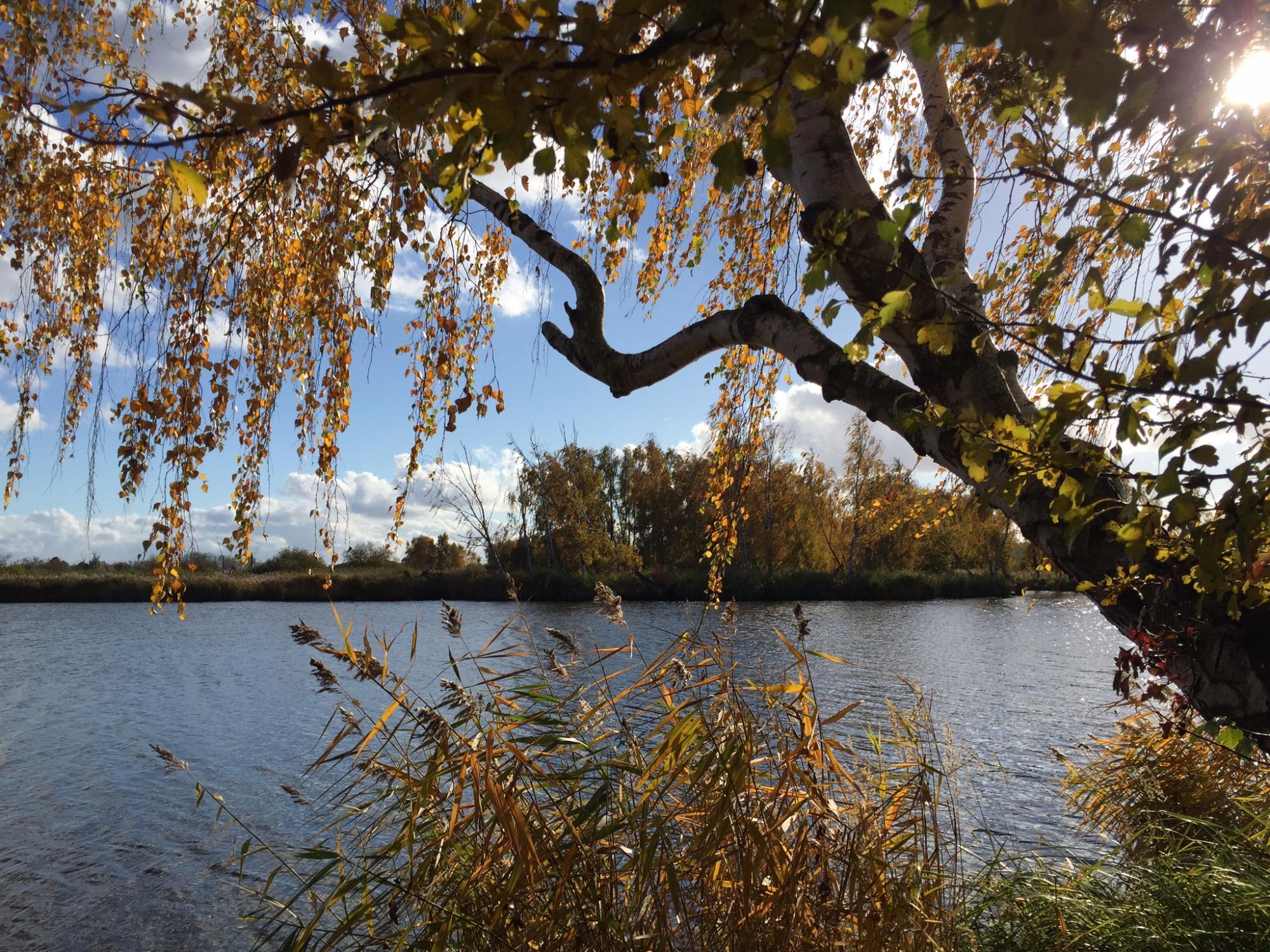 Flachennaturdenkmal am Alten Lager