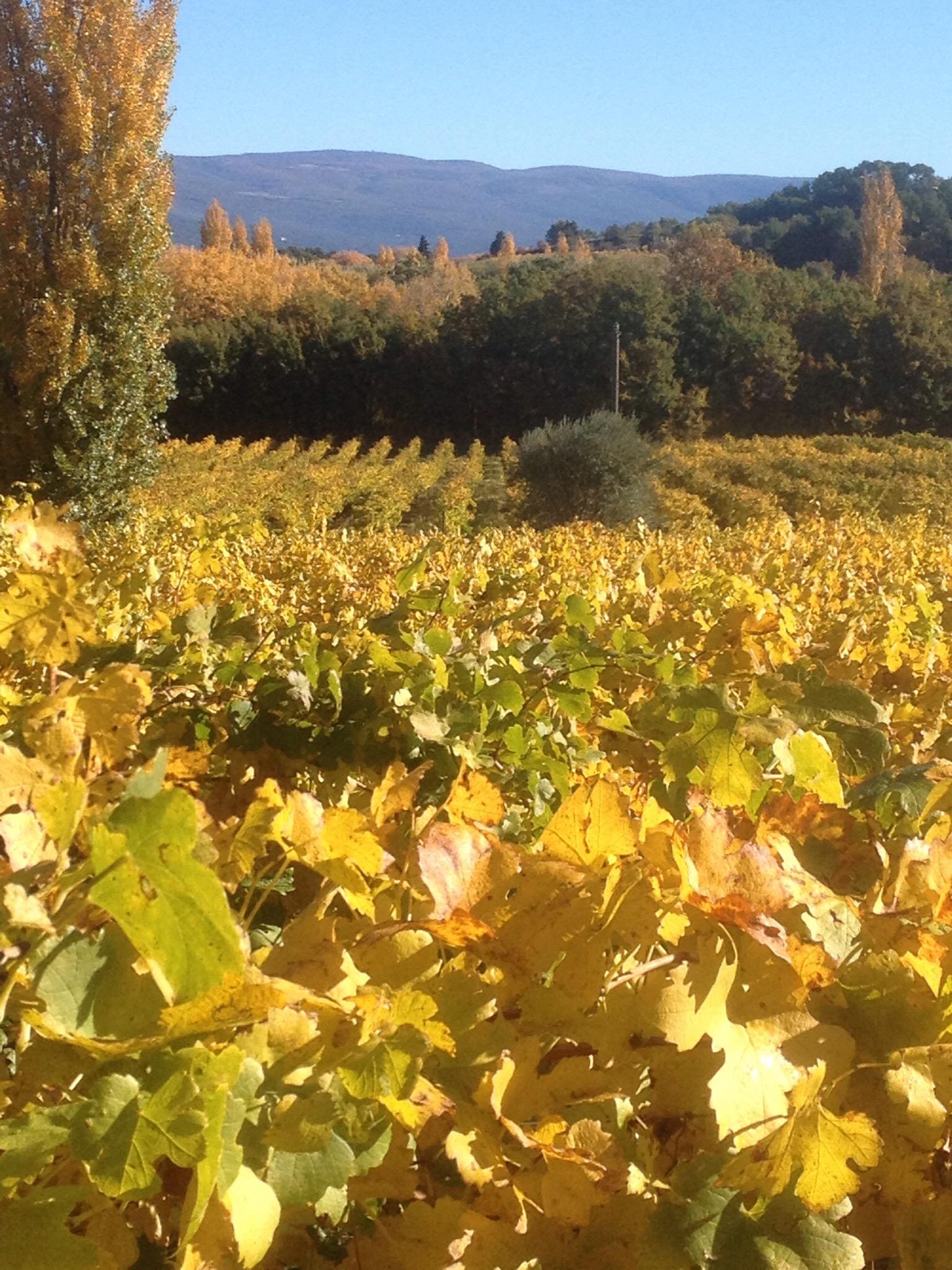 KWine Private Day Tours