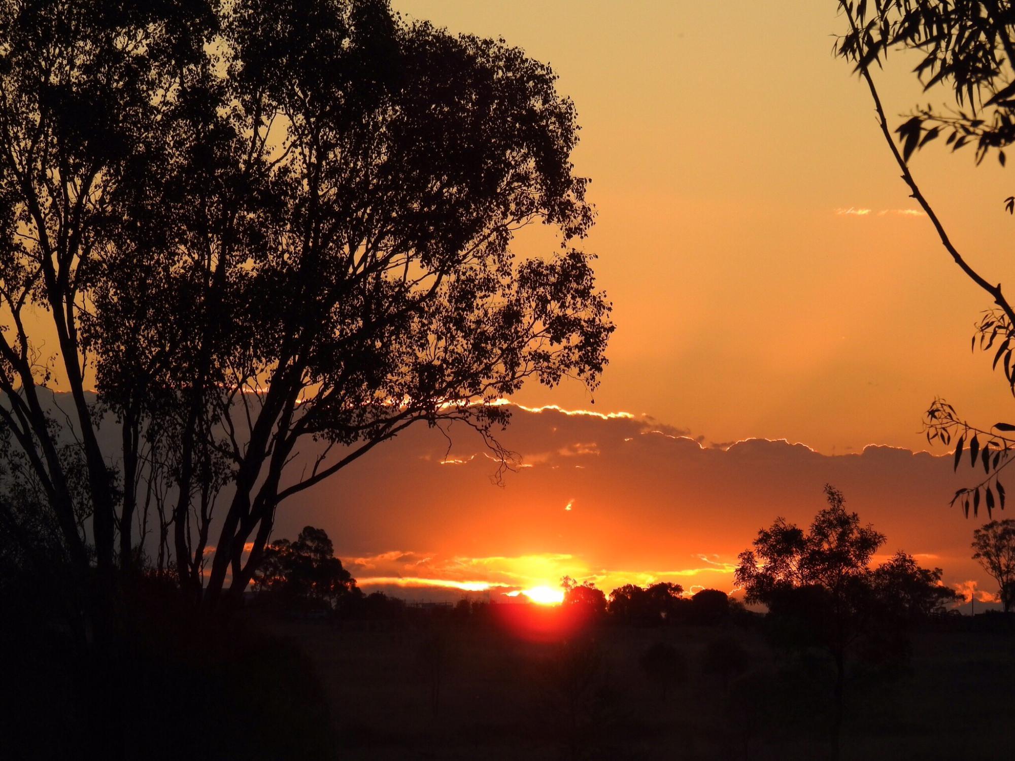 Ups N Downs Farm Stay