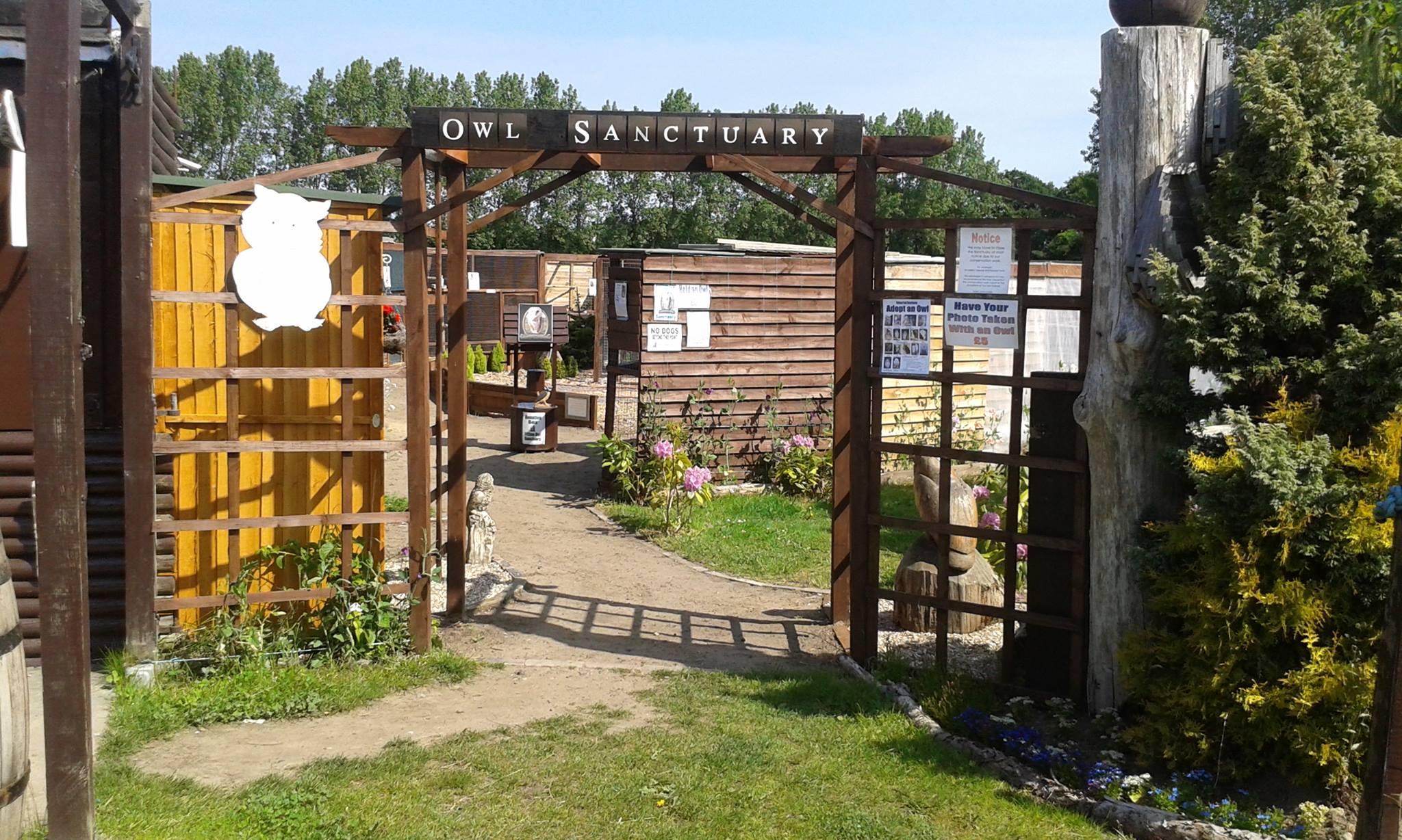 Fritton Owl Sanctuary