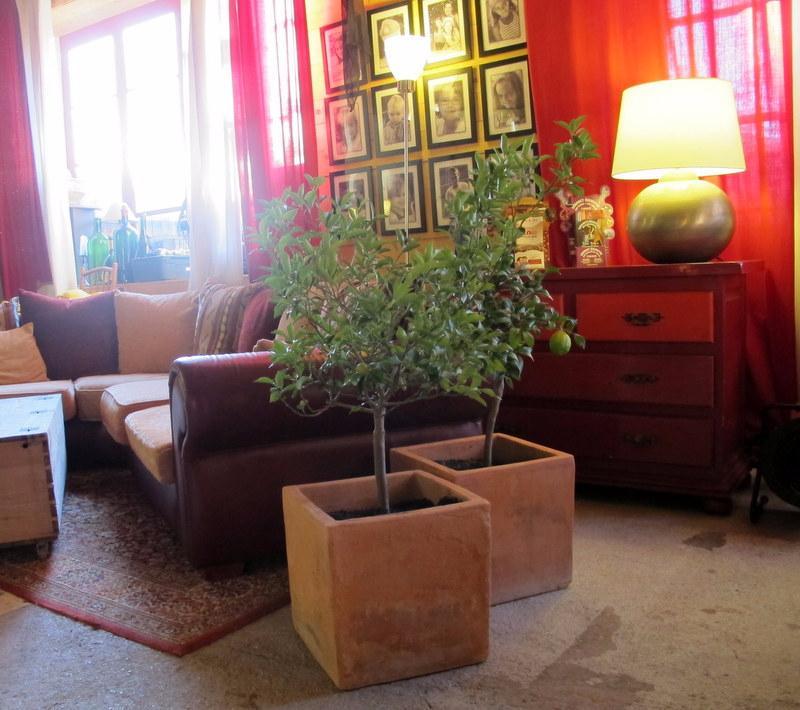 La Maison à Rallonge by Les Petits CHERRI