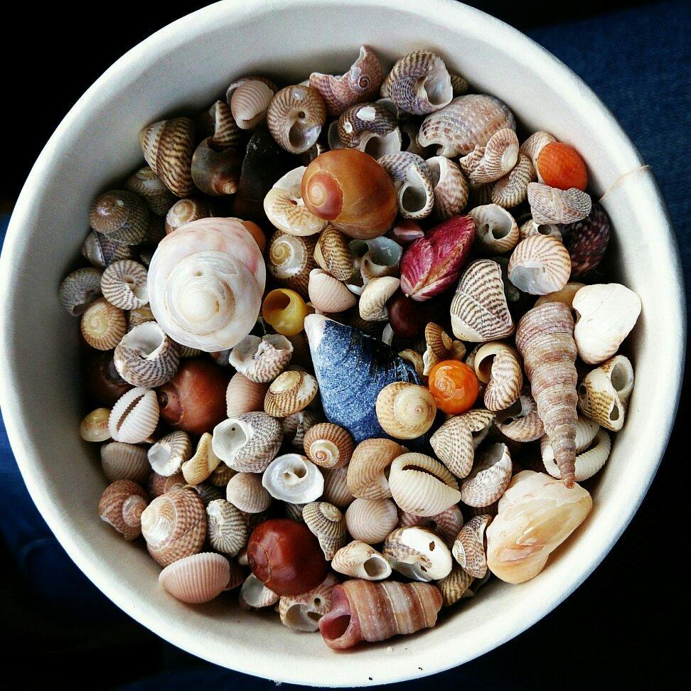 Westwinds Guesthouse