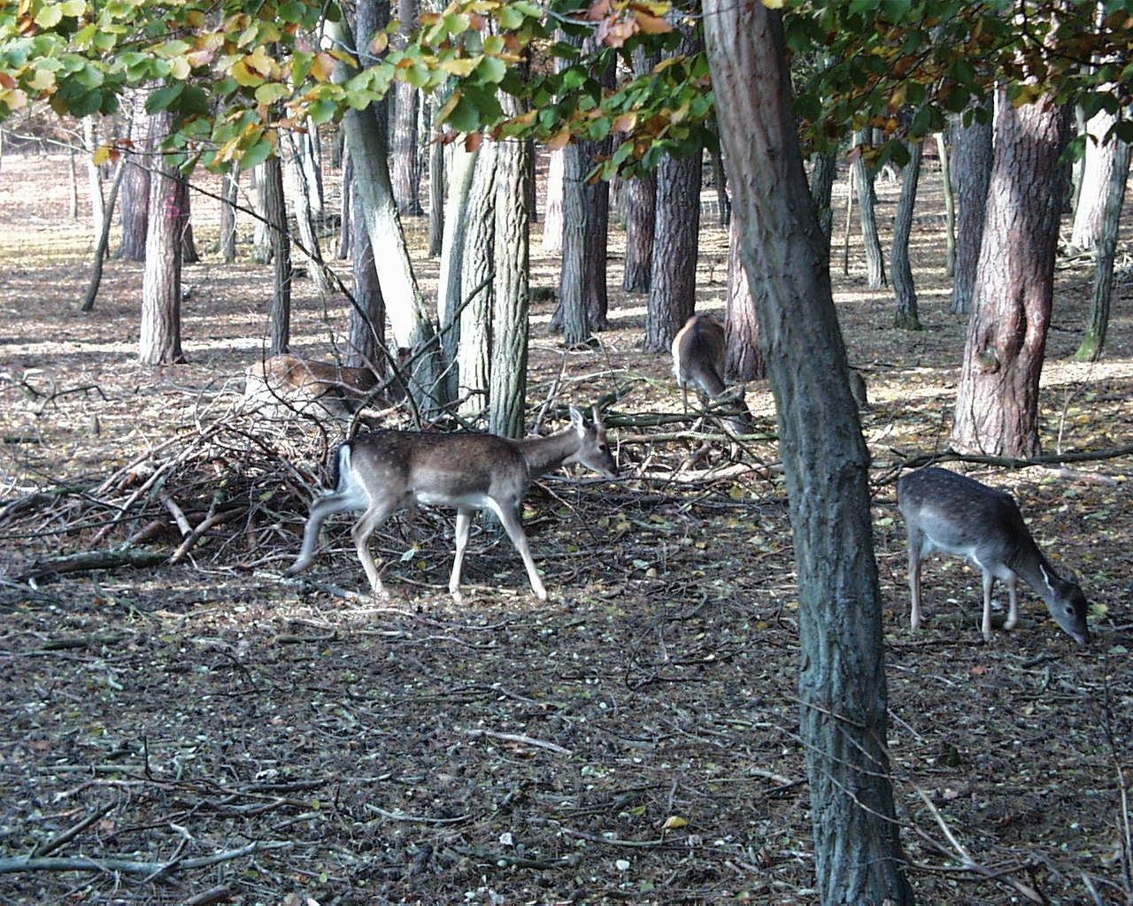 Tierpark Ueckermünde