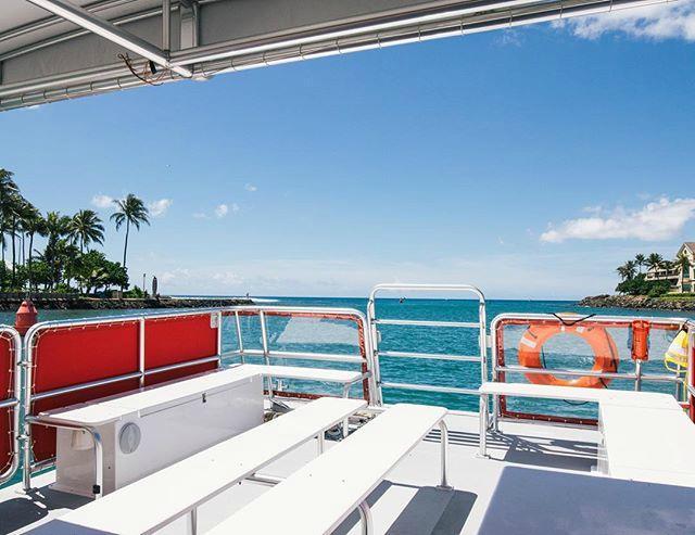 Hawaii Glass Bottom Boats