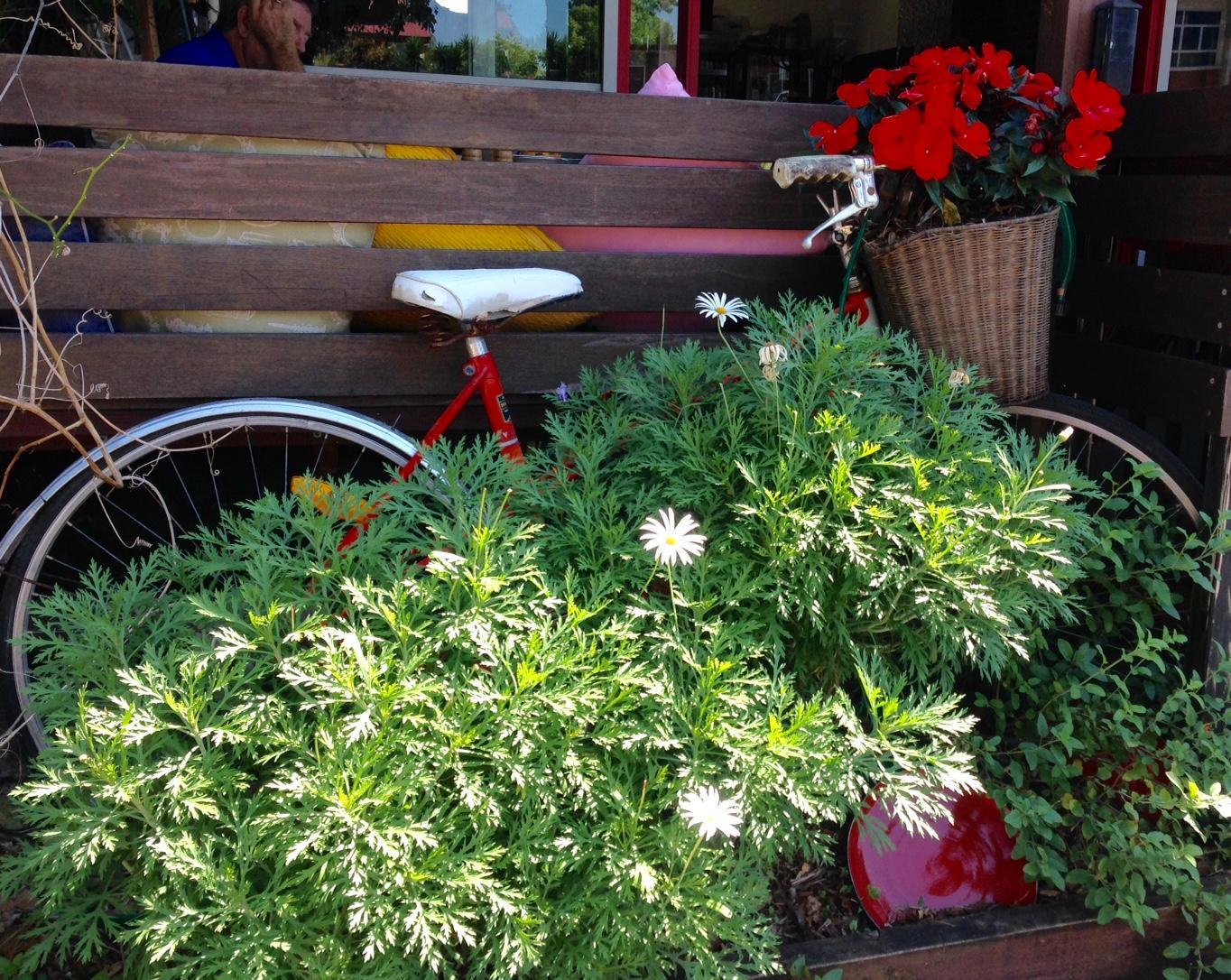 Photo by HappyFamilyonHoliday