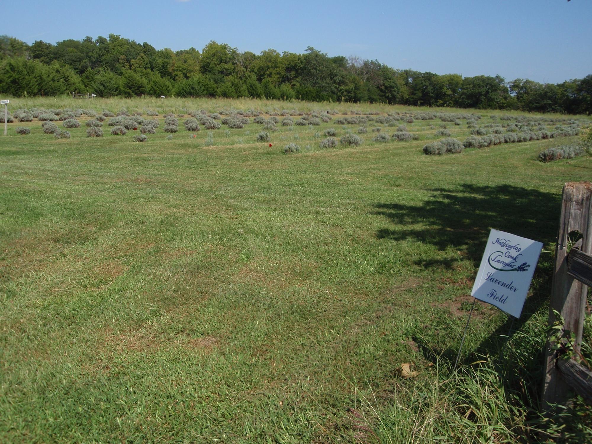 Photo by nowincolorado